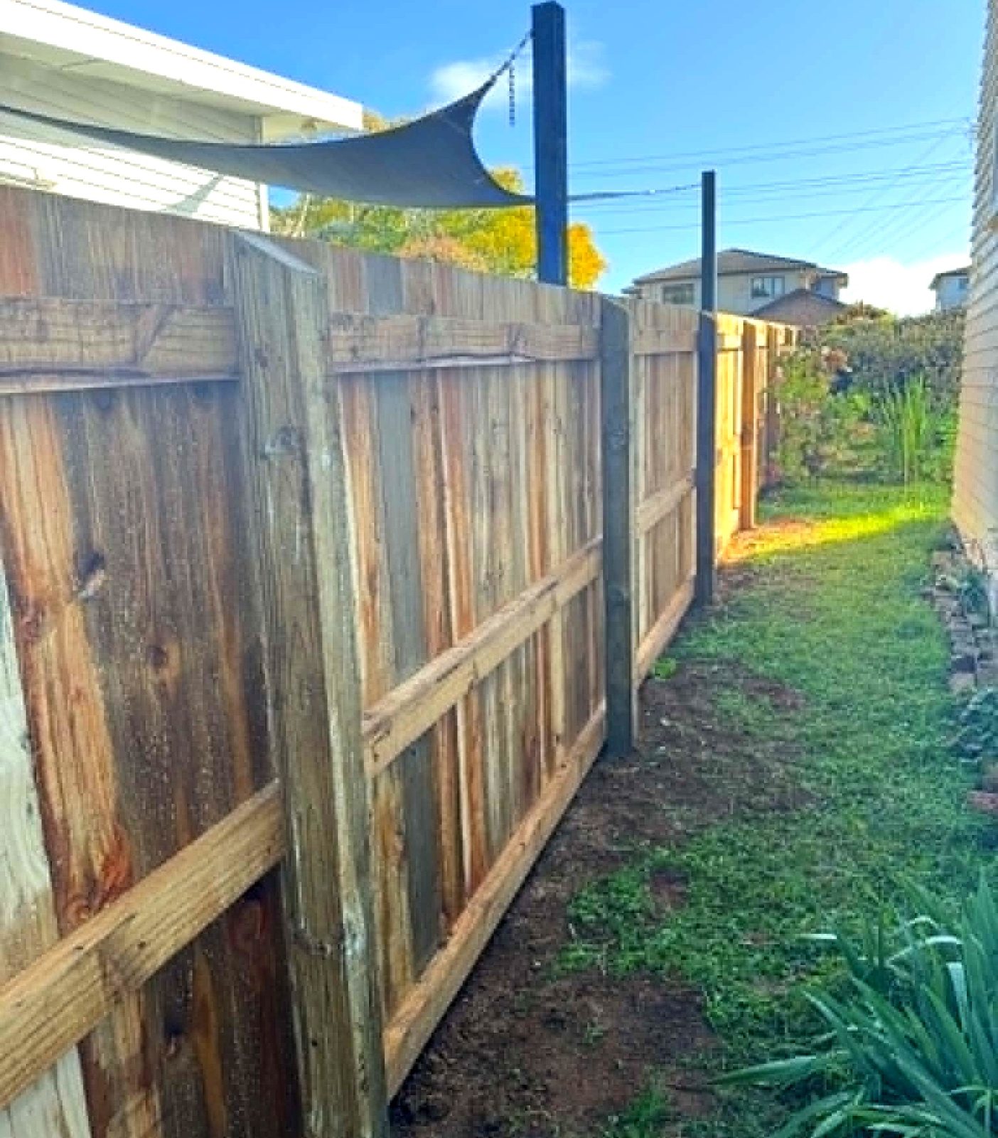 New timber paling fence along a driveway